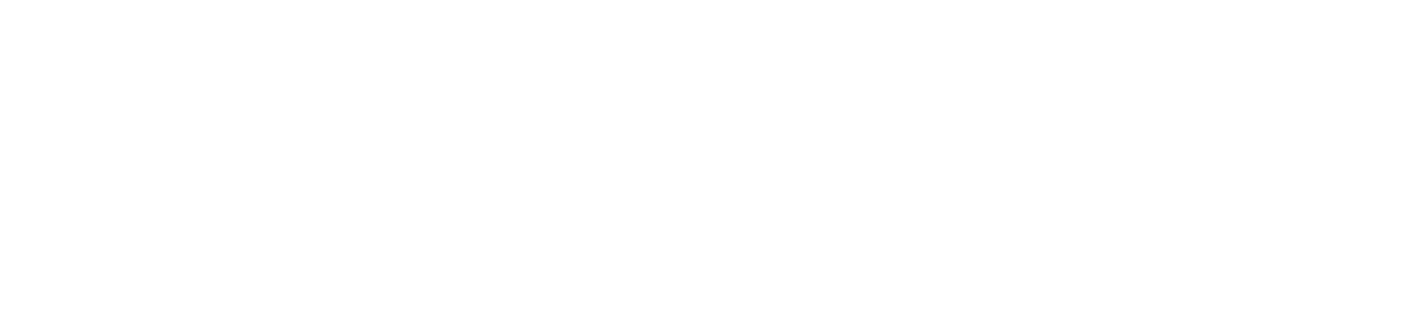 REACH LX